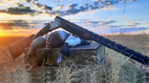 Охота на селезня с подсадной | Классическая охота