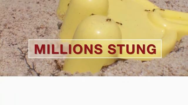 Eliminating Fire Ants with Topchoice смотреть онлайн