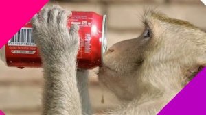 Заряжайте ЛЮБОЙ Айфон БЕЗ ЗАРЯДНОГО устройства ЛАЙФХАКИ