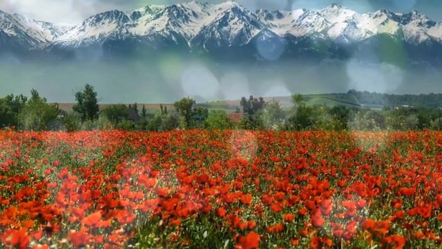 Наири Мусоян - Дудук #органныеконцертывтюмени смотреть онлайн