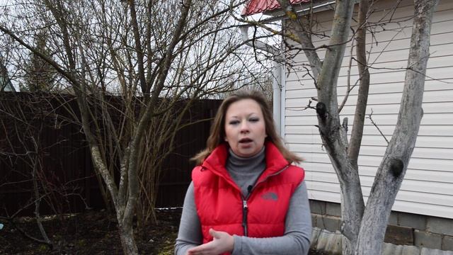 Обработка сада весной: обработка сада от вредителей, опрыскивание деревьев от болезней смотреть онлайн