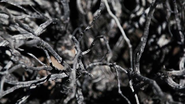 TENERIFE 2014 смотреть онлайн