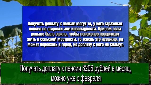 Получать доплату к пенсии 8206 рублей в месяц, можно уже с февраля смотреть онлайн