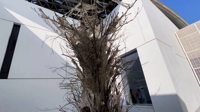 АБУ-ДАБИ. Одного дня мало. Что посмотреть в Абу-даби своим ходом смотреть онлайн