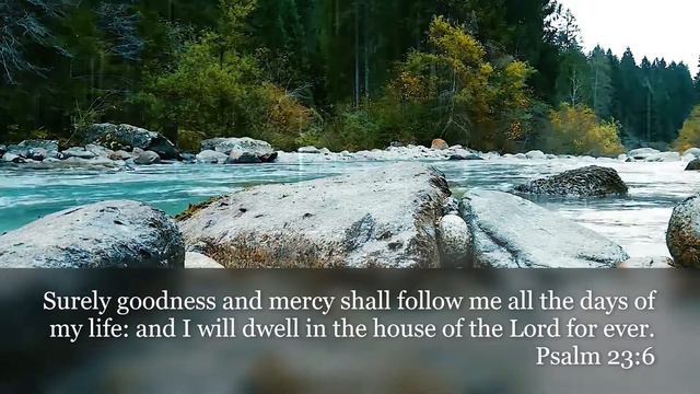 Psalm 23:6 смотреть онлайн