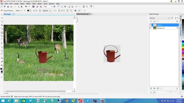 Corel PHOTO-PAINT X7 - How To Clone An Object To An Image