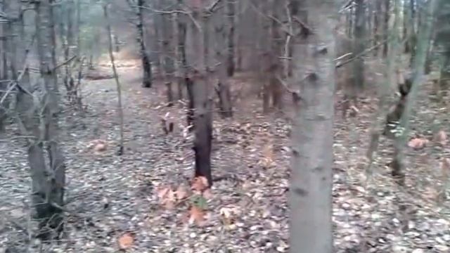 Tarnowskie Góry Strzybnica MTB смотреть онлайн