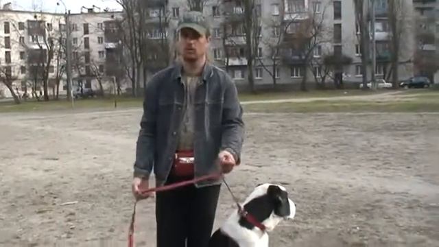 Собака и команда рядом. Виды поворотов www.komne.com смотреть онлайн