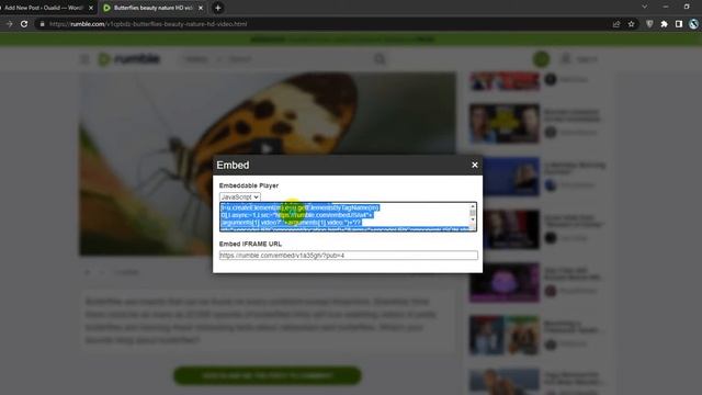 How To Insert Rumble Video into Post in WordPress смотреть онлайн