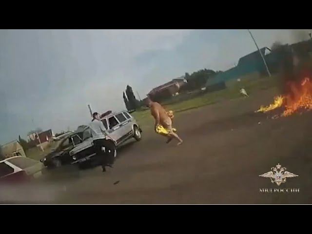 Ирина Волк: В Башкортостане задержан подозреваемый в посягательстве на жизнь инспектора ГИБДД смотреть онлайн
