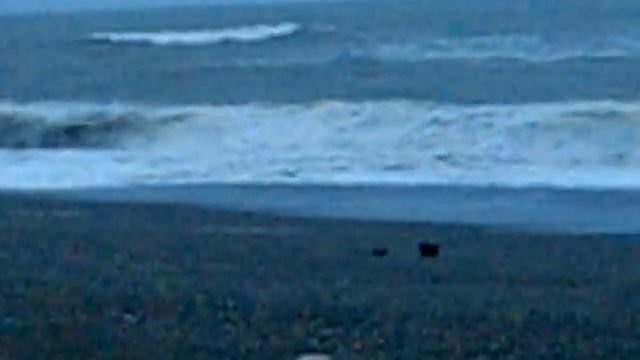 Охотское бурное море. Всегда холодное - очень! смотреть онлайн