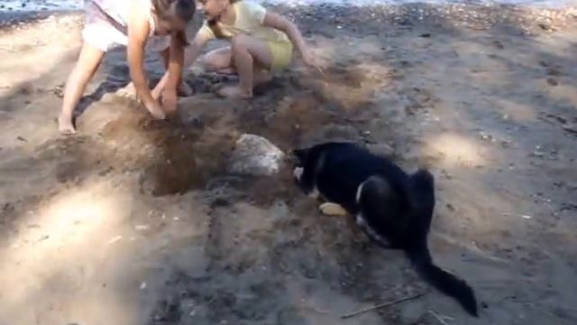 Собака и дети ищут клад. смотреть онлайн