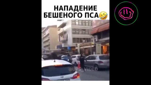 Ржу до слёз. Смешное видео 2021. Подборки самых смешных видео # 5 смотреть онлайн