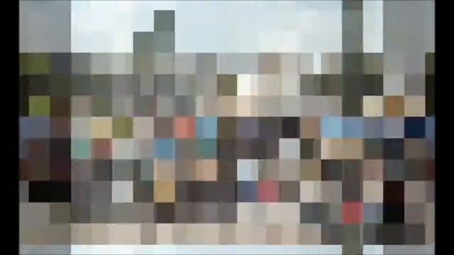 1 мая День бабочек