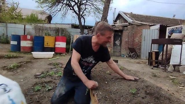 Клубника МУРАНА!!! Подкормка древесной золой ? смотреть онлайн