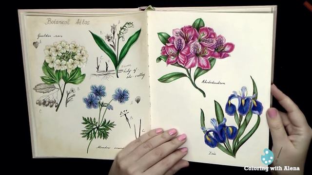 Coloring Book 'The Flower Year' All Finished Pages