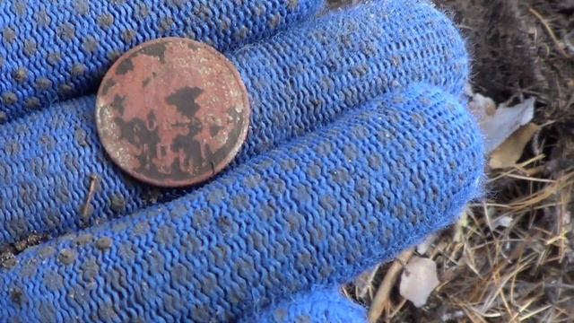 Поиск 100 ЗОЛОТЫХ ЧЕРВОНЦЕВ. В поисках сокровищ / In search of treasures смотреть онлайн