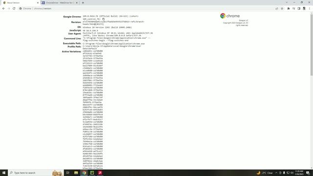 chromedriver setup in selenium | chromedriver error in selenium | chromedriver download смотреть онлайн