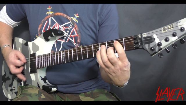 Slayer - Epidemic - Guitar Cover With Solo