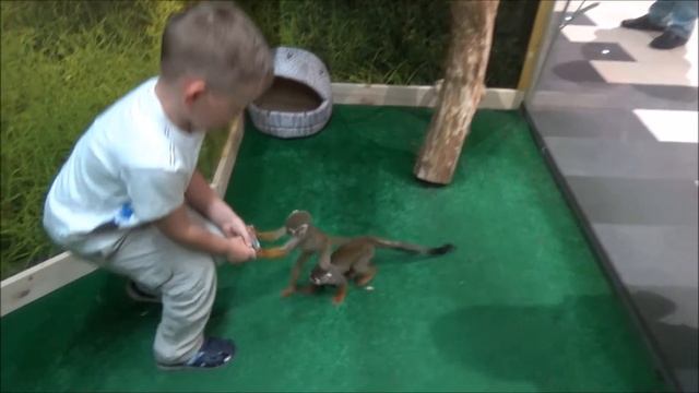 ЗООПАРК ЗВЕРОПОЛИС КИЕВ ОТЗЫВ смотреть онлайн