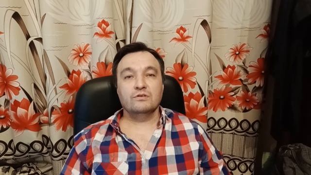 Цикл обучения графическим программам смотреть онлайн