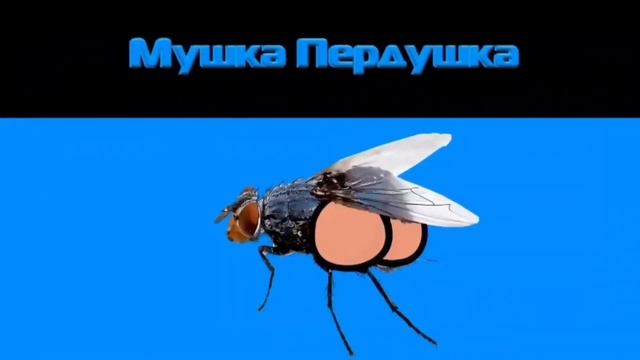 Мушка Пердушка Обосралась смотреть онлайн