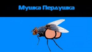 Мушка Пердушка Обосралась