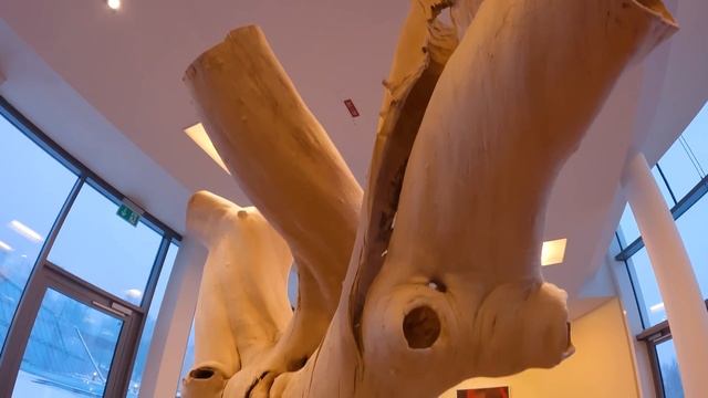 ?? Sportgastein i Alpentherme (Vlog170) смотреть онлайн