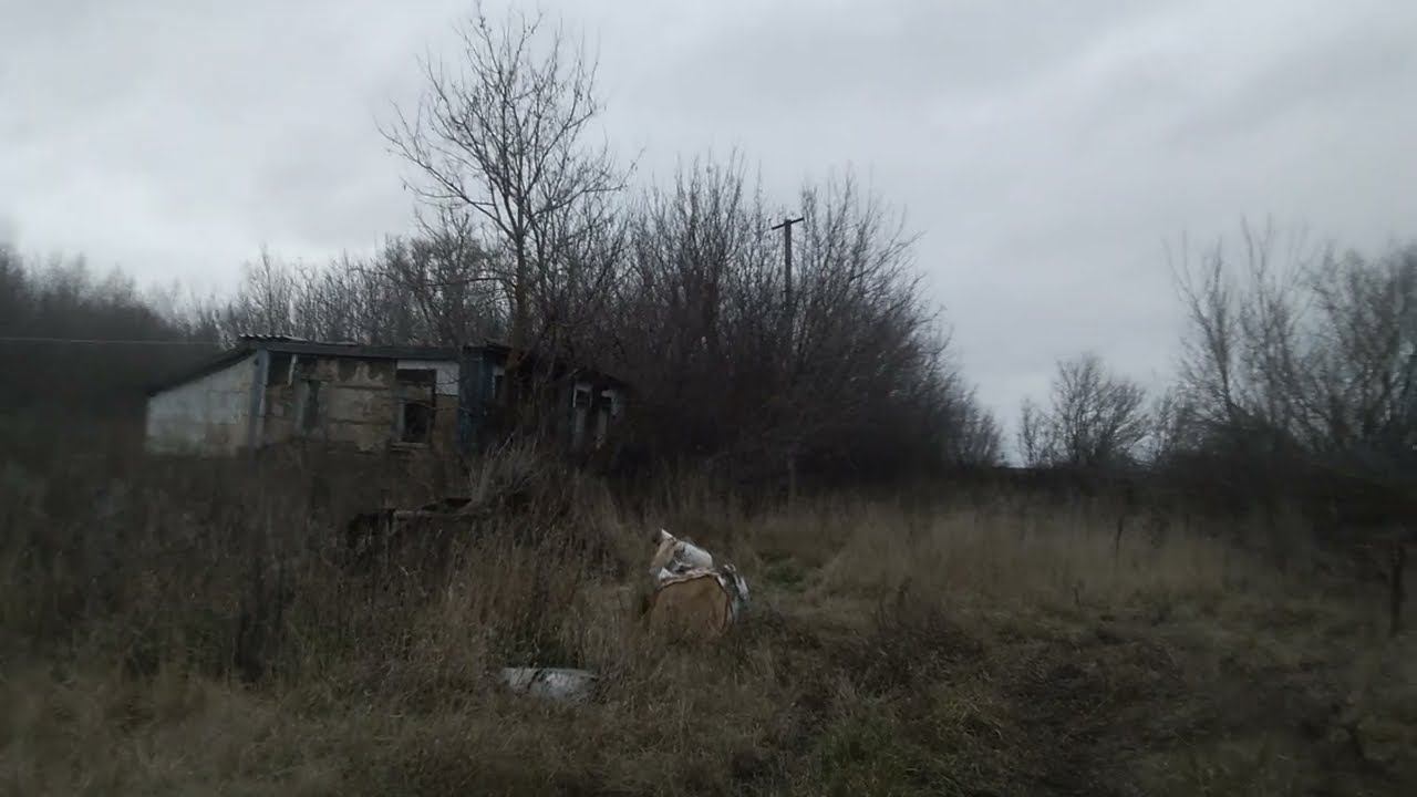 Деревня Филатовка, Аткарский район.