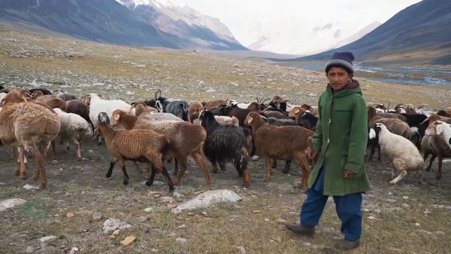 НЕ ЕДЬ ТУДА! 9 САМЫХ ОПАСНЫХ СТРАН МИРА! смотреть онлайн