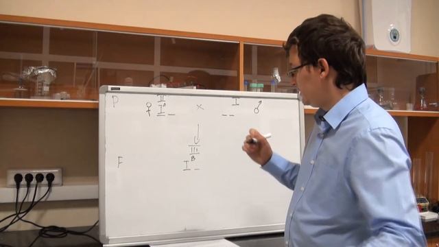 Эпистаз. Разбор задачи №4.7 "Бомбейский феномен" смотреть онлайн