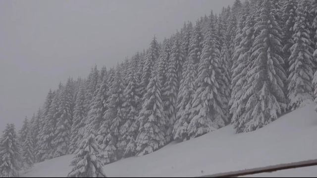 Звуки метели в горах.Шум арктического ветра,шелест падающего снега для расслабления, спокойного сна смотреть онлайн