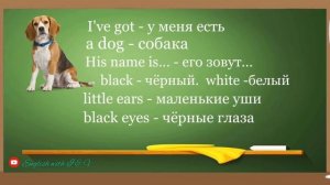Проект «Мой домашний питомец». Английский язык.3 класс. Первый год обучения.