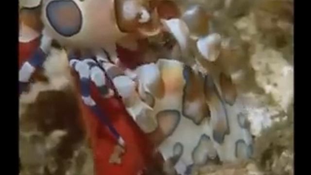 Джеймс Ласт - одинокий пастух смотреть онлайн