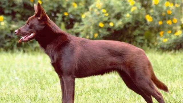 18 августа 2017 г. смотреть онлайн