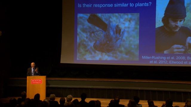 2016 University Lecture Presented by Richard B. Primack, Professor of Biology смотреть онлайн
