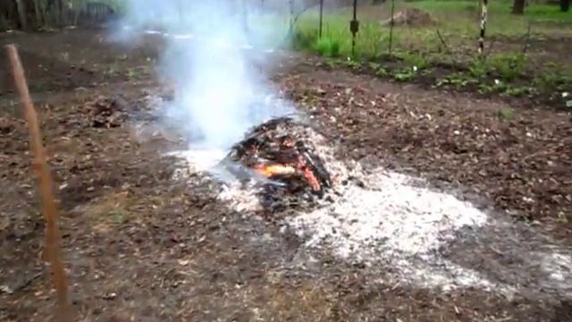 Сжигаем ветки, получаем древесную золу для удобрения растений смотреть онлайн