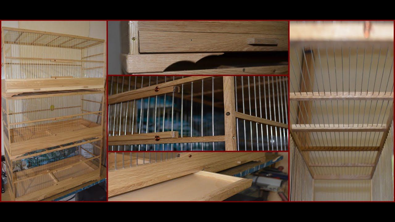 Клетки для дроздов.