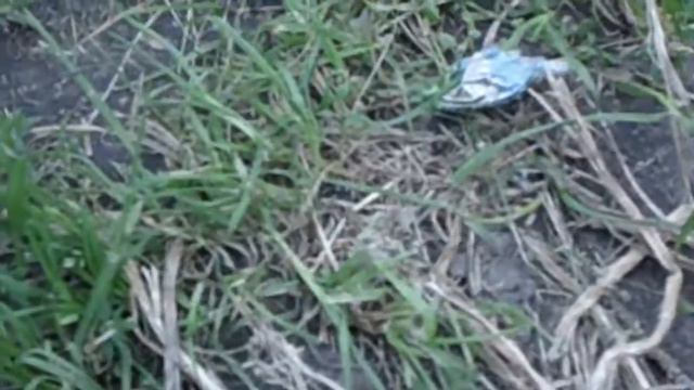 В АКТИВНОМ ПОИСКЕ смотреть онлайн