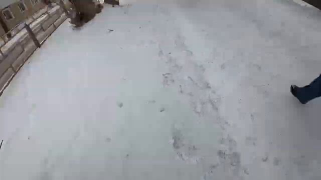 VLOG ; ЕКАТЕРИНБУРГ! СОРЕВНОВАНИЯ, КУБОК УРАЛА ;gortsy001?НЕДЕЛЮ С НАМИ!!!! смотреть онлайн