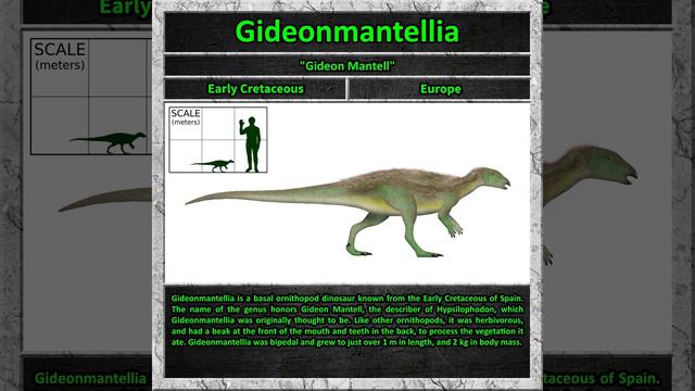 Gideonmantellia смотреть онлайн