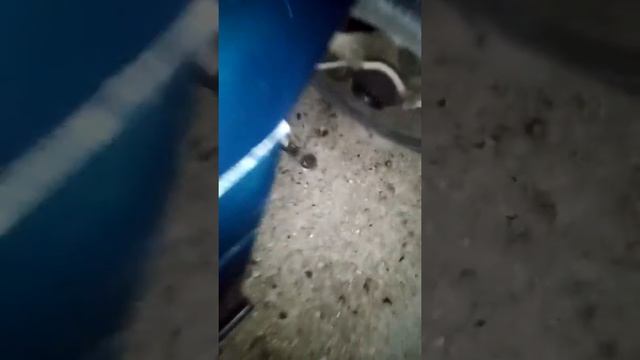 Разорвала шаравую с гранатой меняйте вовримя смотреть онлайн
