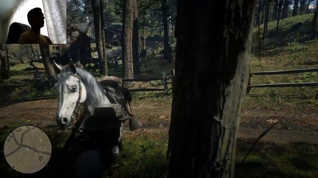 Red Dead Redemption 2 - "Экзотика" Путь к 100% смотреть онлайн