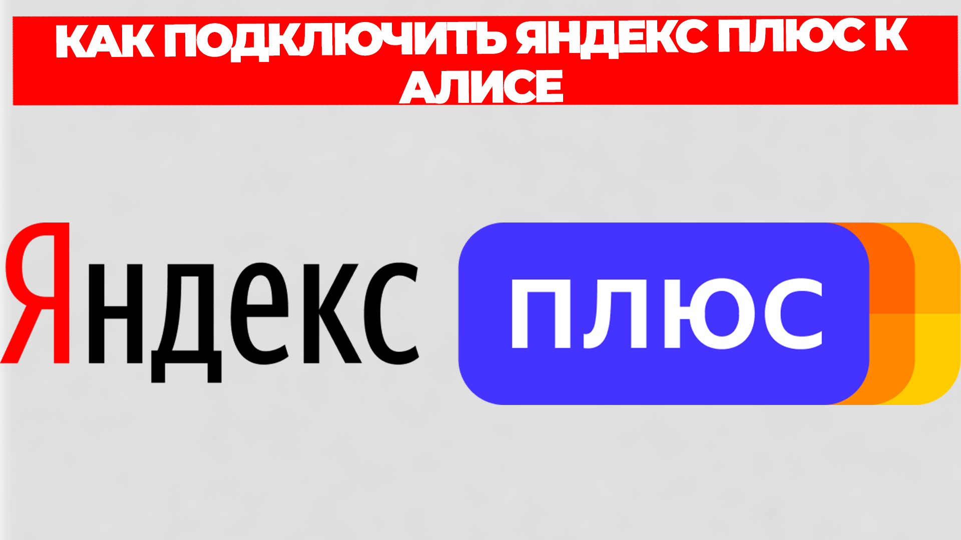 Всезнающий Енот