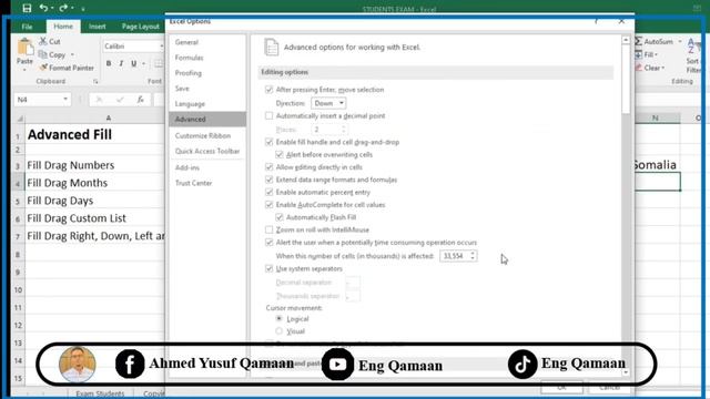 Lesson 10 Ms Excel ( Advanced Fill) смотреть онлайн