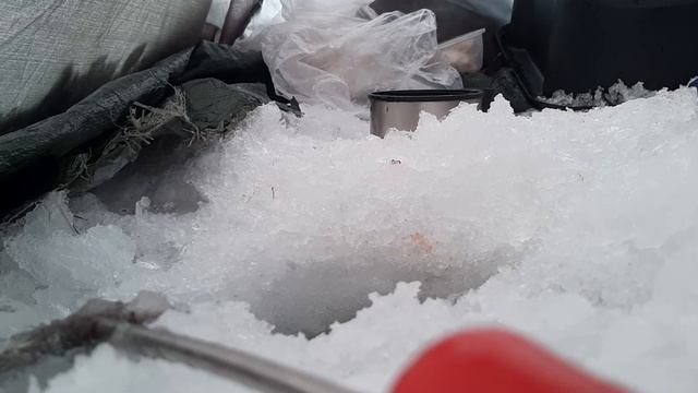 рыбалка в конце января очень по радовала!!!  ОГРОМНЫЙ ОКУНЬ!!!/ ПЛОТВА / СОПА / ЁРШ!!!