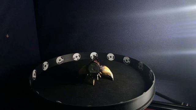 New way 3D Scanner "What is FacTrans" смотреть онлайн