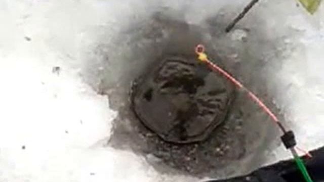 Ловля чебака на Ишиме (спортивная) смотреть онлайн