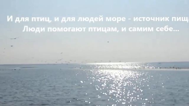 Азовское море.Сезон отдыха.mp4 смотреть онлайн