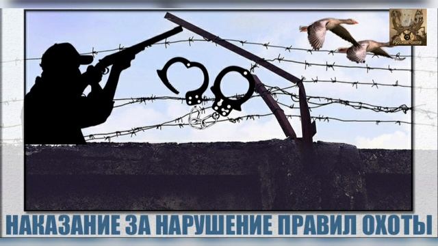 Штрафы и наказания за незаконную охоту в 2020 году смотреть онлайн